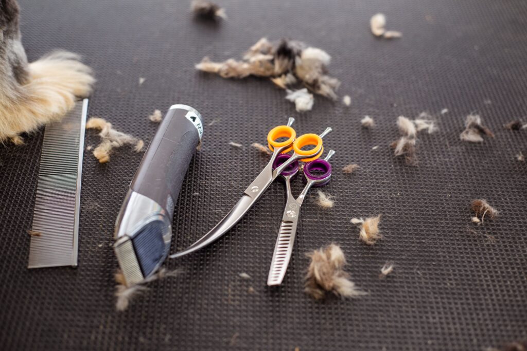 basic dog grooming tools for beginners at home
