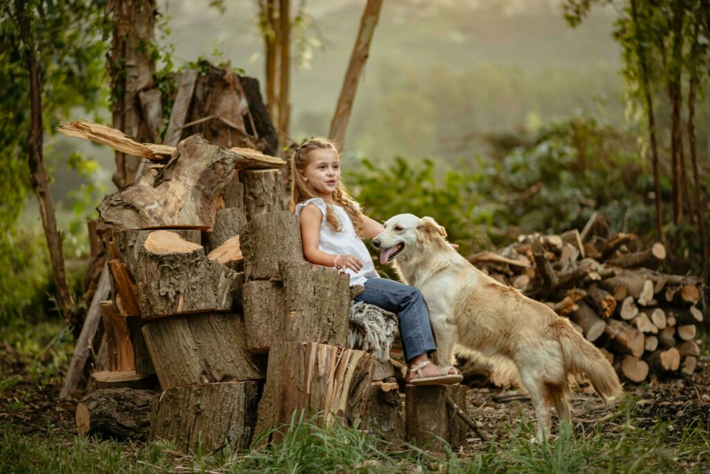 golden retriever best family dog breeds with children