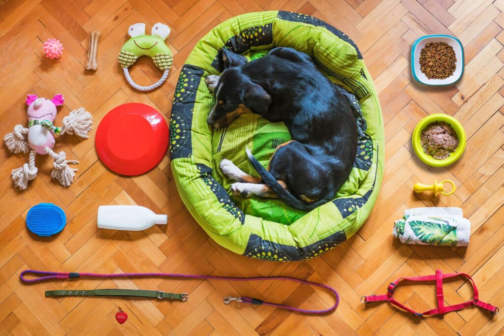 essential puppy training tools
supplies treats leash and crate