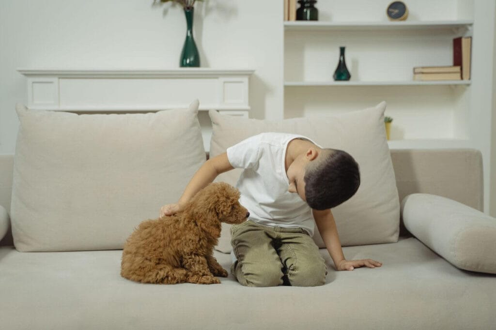 best dog breeds for families
with young children gentle
calm temperament and patience