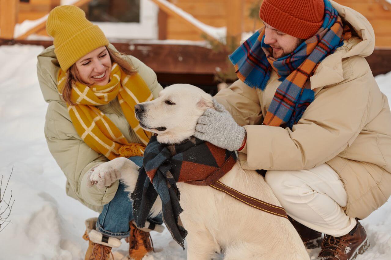 Best Dog Breeds for Families in 2026: Top 12 Family-Friendly Dogs for Kids & Busy Homes