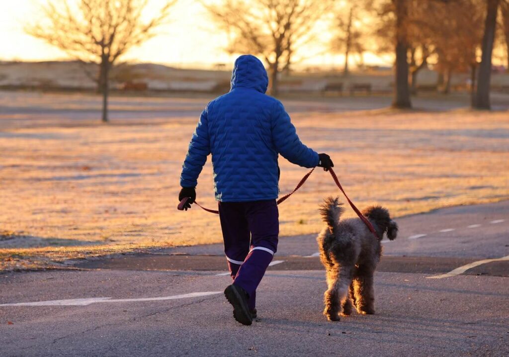 dog exercise routine guide 2026 how much exercise does your dog need daily