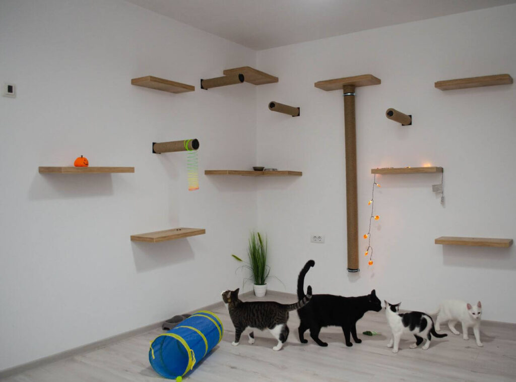 enriching indoor environment
for cats vertical space wall
shelves and climbing options