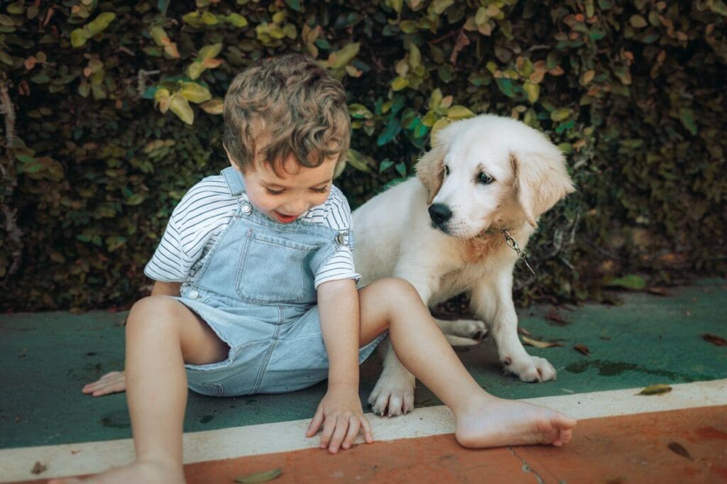 golden retriever gentle family
companion with young child
best dog breed for families
with kids
