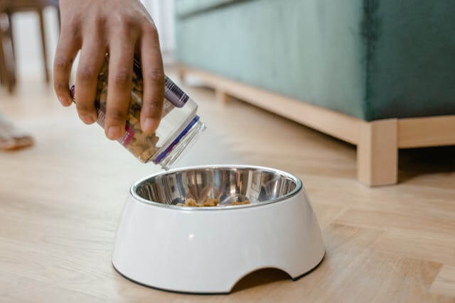 kitten feeding schedule and
portion guide by age complete
cat food for healthy growth