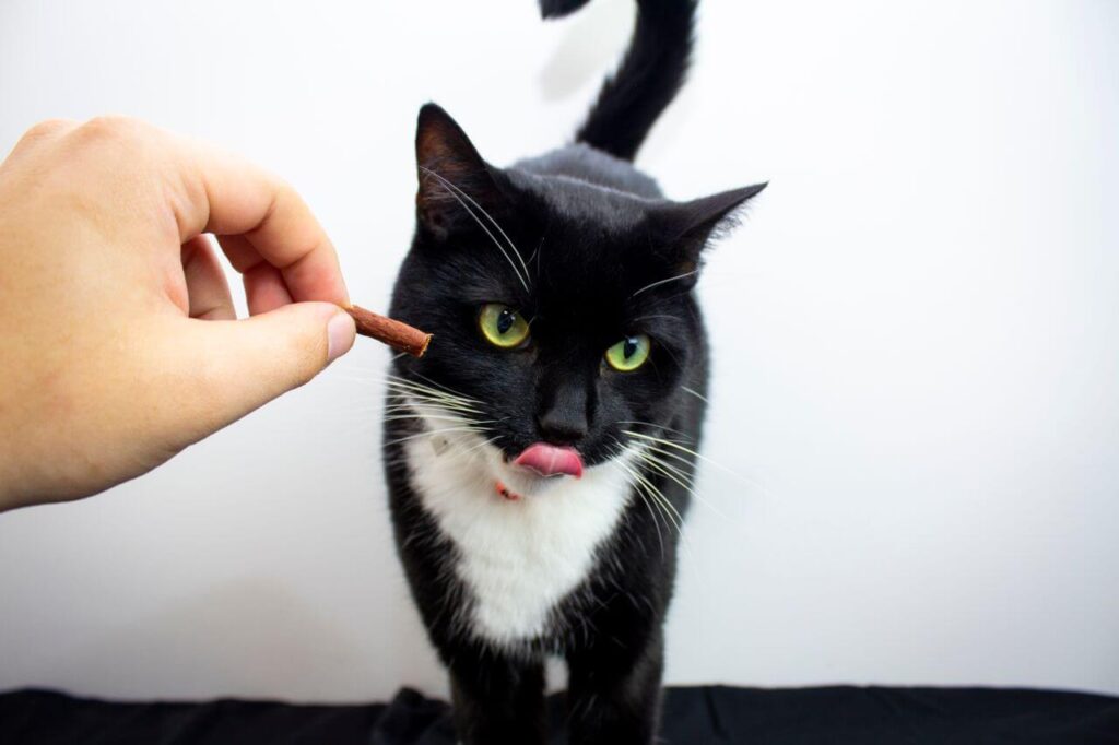 positive reinforcement treating
cat for using scratching post
stop cat scratching furniture
training technique