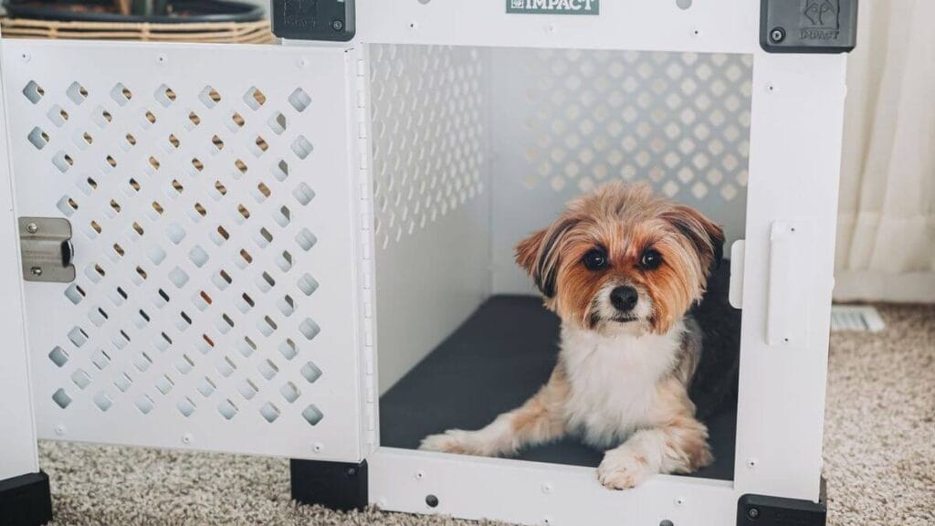 dog resting in a cozy safe space crate