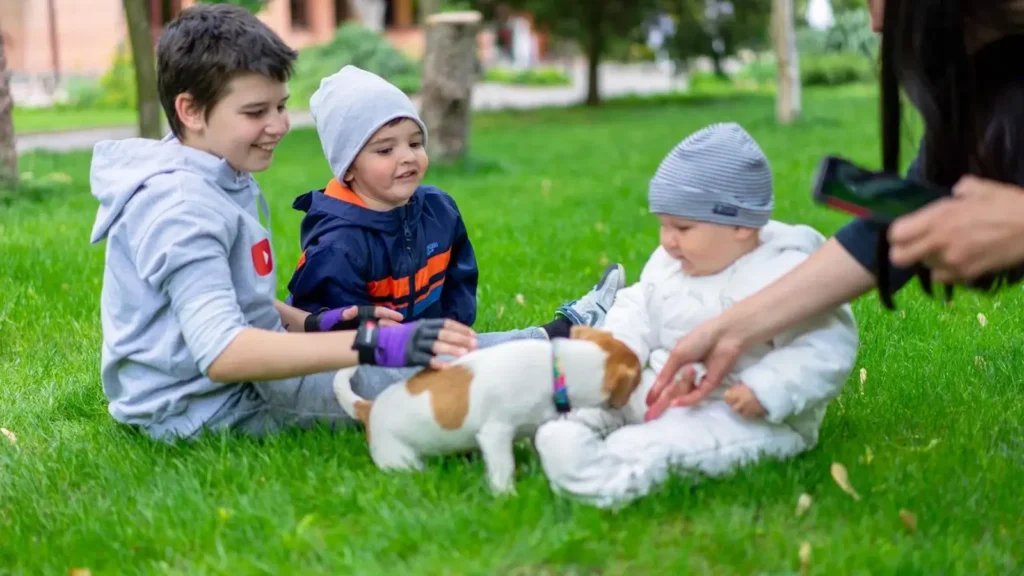 Family with a low maintenance dog breed